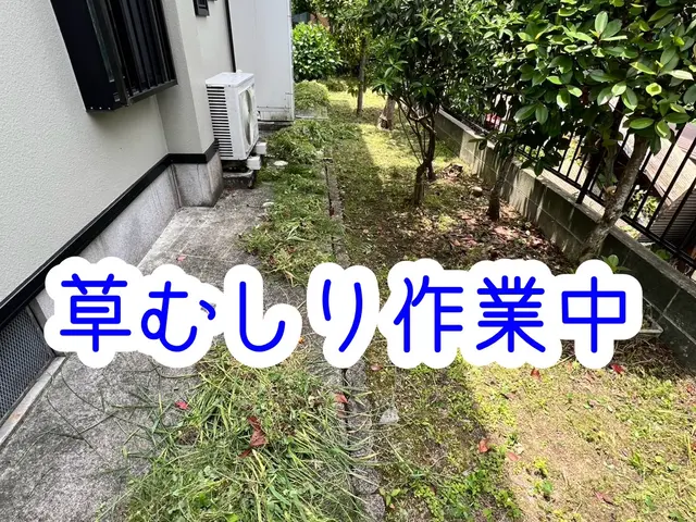 完全手作業の草むしりサービスの画像