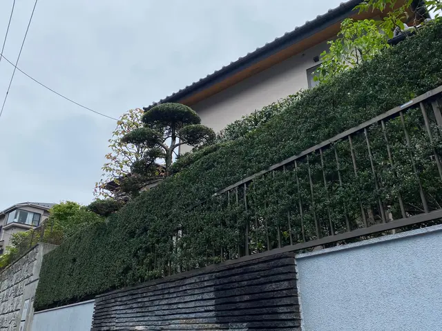 バリカンを使ってカット、ハサミを使って丁寧な剪定。お客様の好みで対応します。サービスの画像