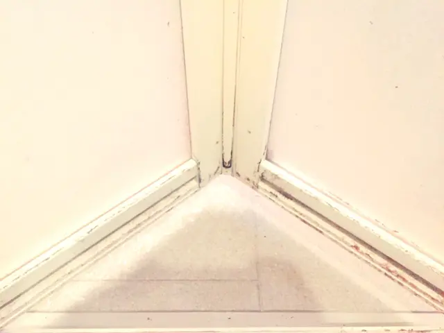 【P代負担】あの大御所、芸能人のお客様にもご好評いただいているサービスです♪サービスの画像