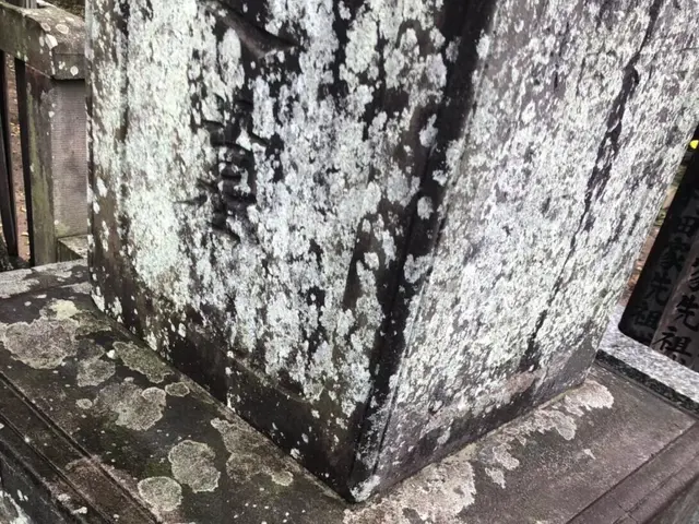 【クレームゼロ】お墓クリーニング・お墓参り代行専門店サービスの画像