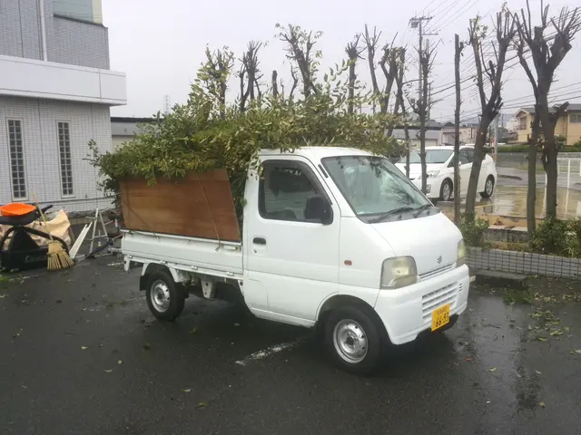 ◆激安！庭の剪定 伐採(松不可)11月20日より御予約受付中です。サービスの画像