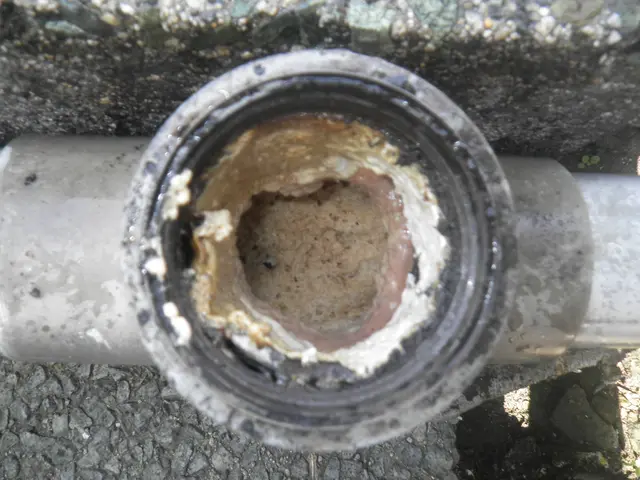 【熊本市発】創業63年目を迎えました！対応地域外のご予約もご相談可能！サービスの画像