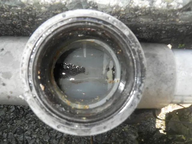 【熊本市発】創業63年目を迎えました！対応地域外のご予約もご相談可能！サービスの画像