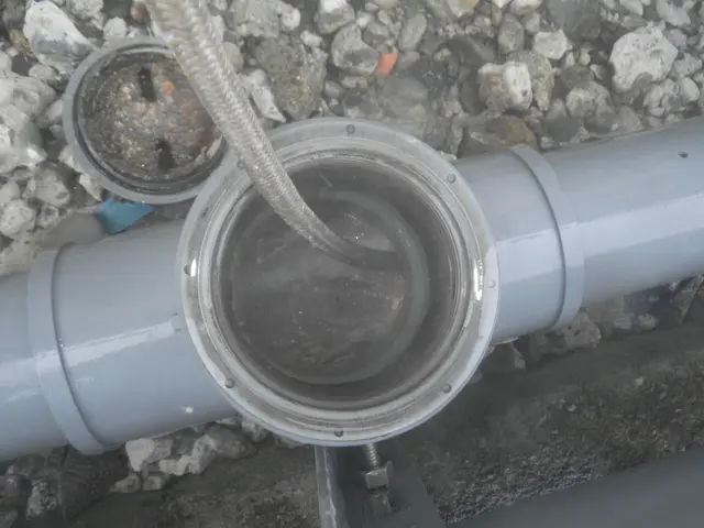 【熊本市発】創業63年目を迎えました！対応地域外のご予約もご相談可能！サービスの画像