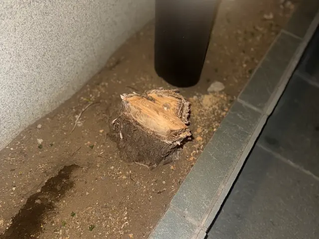 植木の伐採・抜根サービスの画像