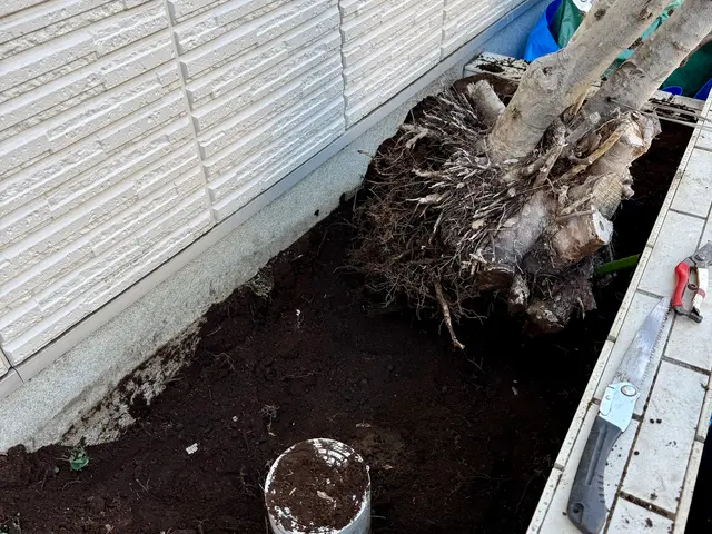 植木の伐採・抜根サービスの画像