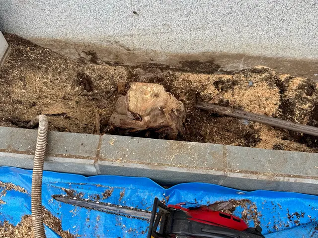 植木の伐採・抜根サービスの画像