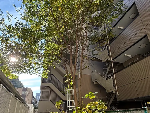 植木の伐採・抜根サービスの画像