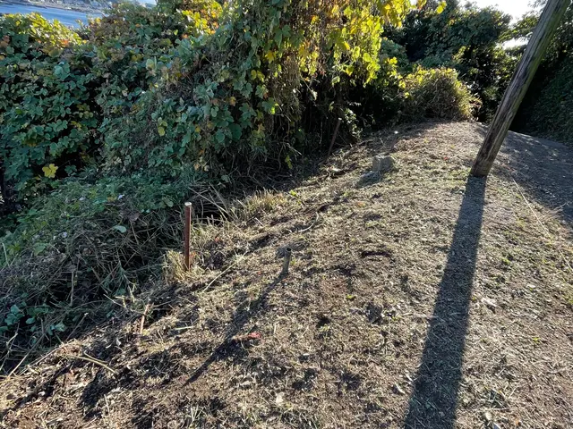 神奈川県寒川町、伊勢原市出発！便利屋 草刈り【年中無休】土日祝もご予約大歓迎！サービスの画像