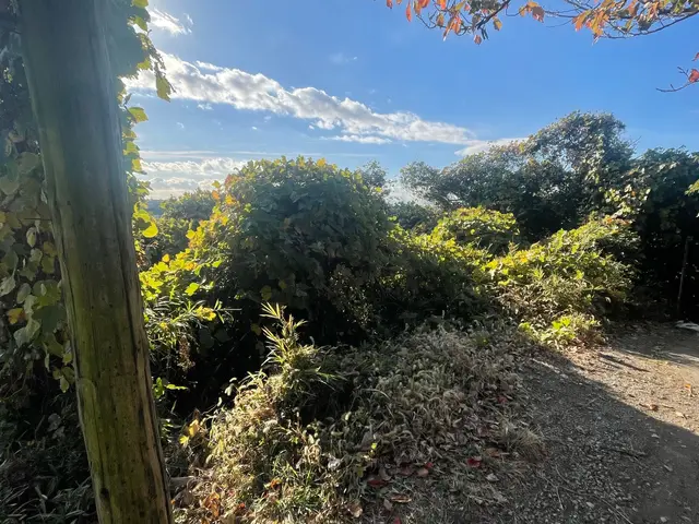 神奈川県寒川町、伊勢原市出発！便利屋 草刈り【年中無休】土日祝もご予約大歓迎！サービスの画像