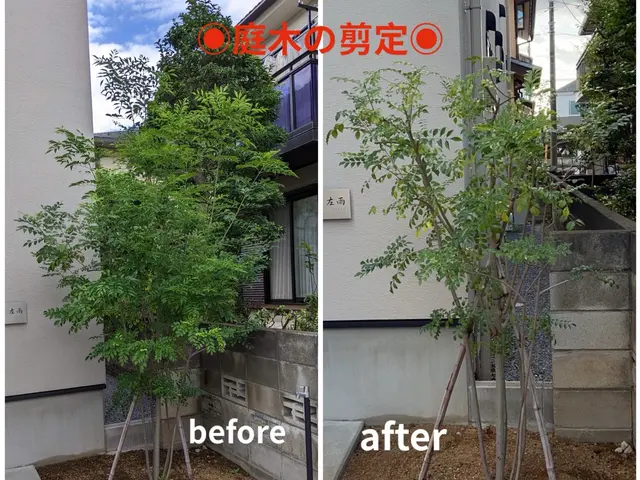 【速い作業・適正な価格・綺麗な仕上り】◉庭木をサッパリ、すっきりしませんか◉サービスの画像