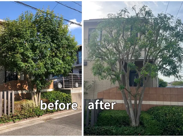 【速い作業・適正な価格・綺麗な仕上り】◉庭木をサッパリ、すっきりしませんか◉サービスの画像