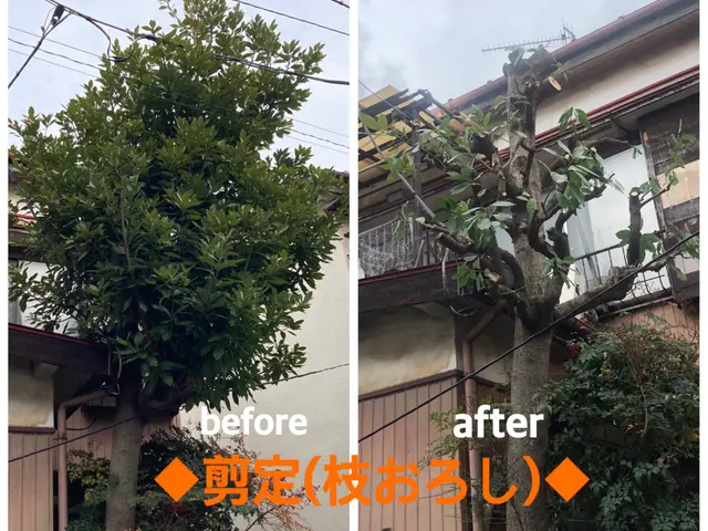 【速い作業・適正な価格・綺麗な仕上り】◉庭木をサッパリ、すっきりしませんか◉サービスの画像