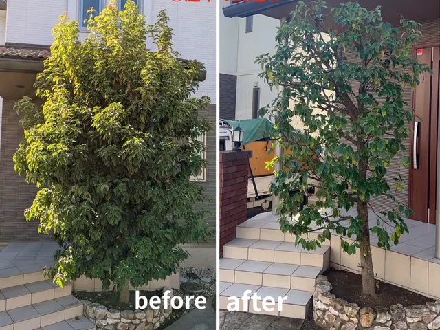 【速い作業・適正な価格・綺麗な仕上り】◉庭木をサッパリ、すっきりしませんか◉サービスの画像