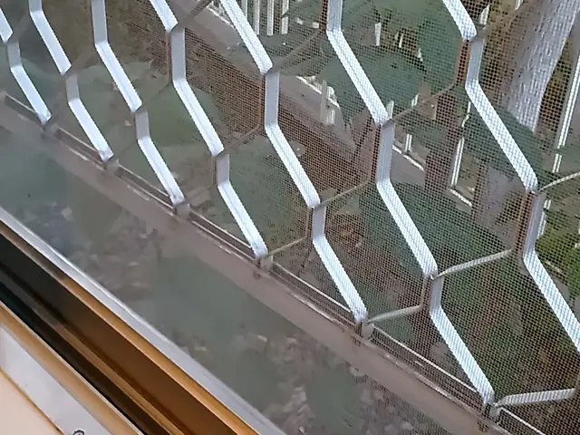 ★男女2名作業で手際よく！網戸、サッシ含みます！サービスの画像