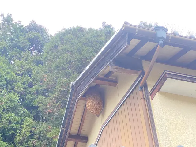 《即日対応》《深夜早朝料金ナシ》無料調査サービス実施中！お気軽にご相談ください！サービスの画像