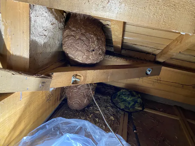 《即日対応》《深夜早朝料金ナシ》無料調査サービス実施中！お気軽にご相談ください！サービスの画像