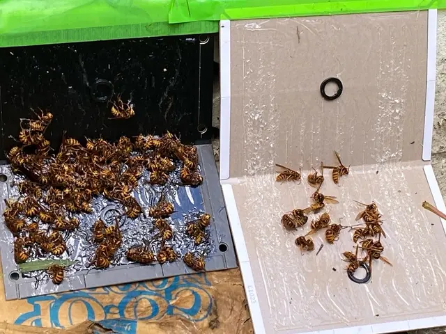 《即日対応》《深夜早朝料金ナシ》無料調査サービス実施中！お気軽にご相談ください！サービスの画像