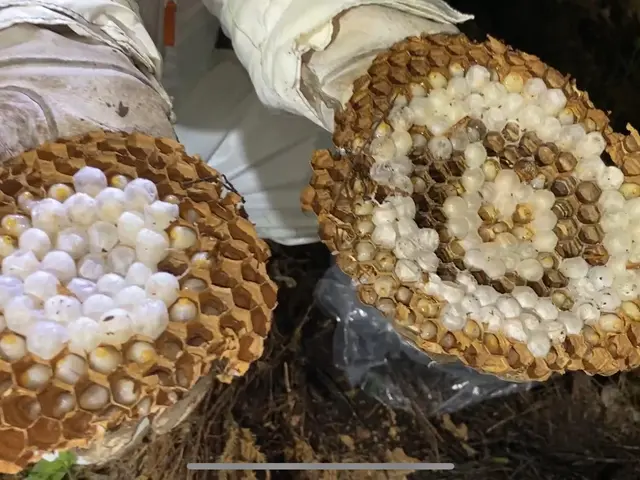 《即日対応》《深夜早朝料金ナシ》無料調査サービス実施中！お気軽にご相談ください！サービスの画像