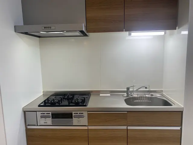 レビュー投稿してくれる方限定★通常価格14000円→12000円でのご案内！サービスの画像