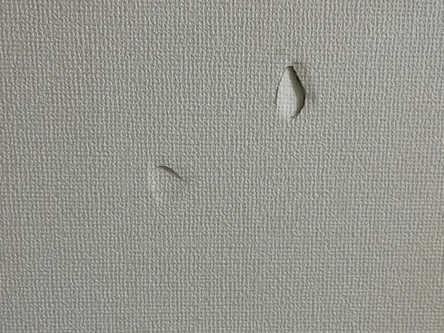 色々な傷、打痕、穴補修します！サービス範囲外でもご相談下さい対応致します。サービスの画像