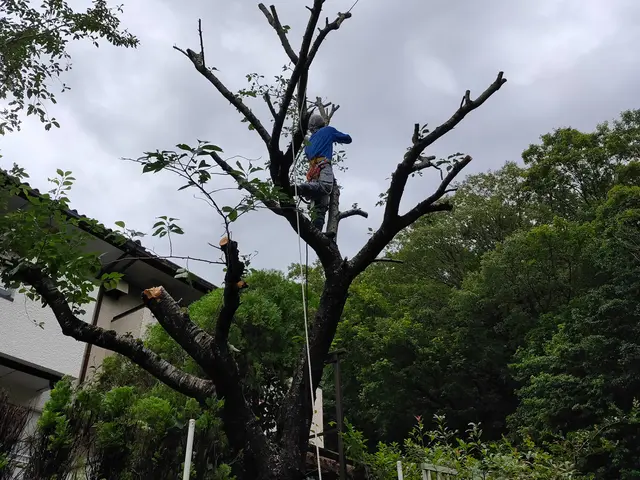 処分費コミコミ！【電気チェーンソー作業可】騒音対策OK！◆損害保険加入済み◆サービスの画像