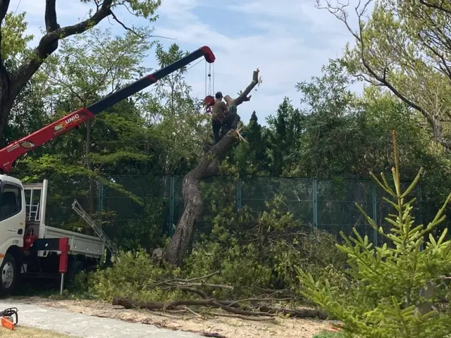処分費コミコミ！【電気チェーンソー作業可】騒音対策OK！◆損害保険加入済み◆サービスの画像