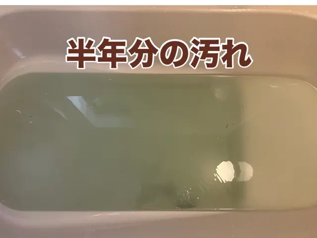 【明瞭会計総額表示】☆パパママ応援500円引☆湯垢、レジオネラ菌徹底除去サービスの画像