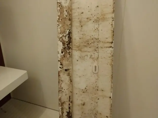 防カビ無料キャンペーンサービスの画像