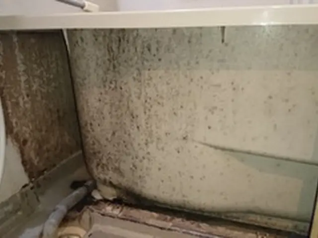 口コミ700以上で安心！圧倒的な人気と実績を誇る店舗はこちらです！サービスの画像