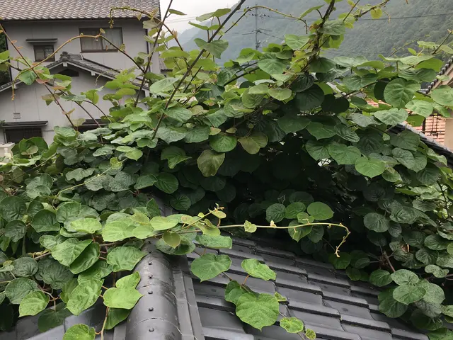 《呉市限定》女性スタッフ同行OK！駐車場代は当店負担◎安心の保険加入済みサービスの画像