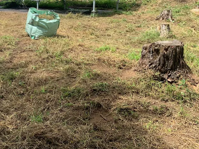 草刈りシーズン突入！早めの対処で安心快適にお過ごしください。サービスの画像