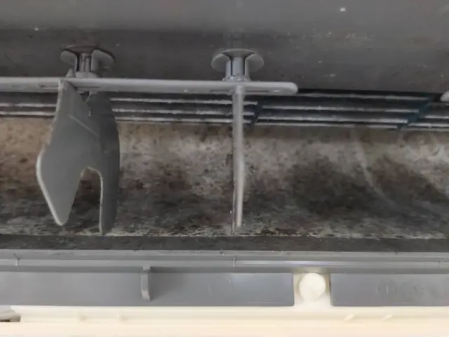 電気代値上げの今！お掃除で節電対策◎本格的に暑くなる前にお掃除いかがですか？◎サービスの画像