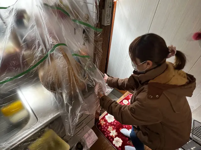 ダニ駆除＋ハウスクリーニング《男女各1名派遣》サービスの画像