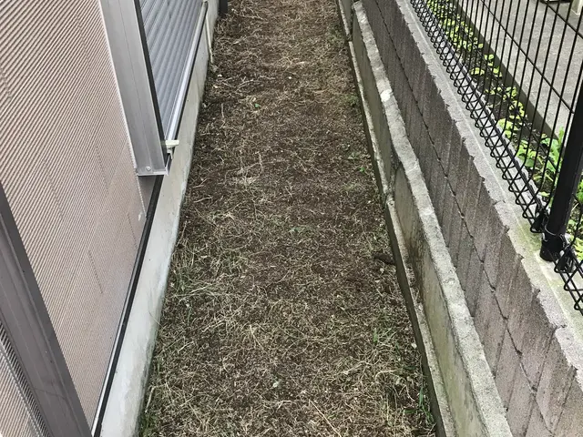 若さとやる気！元気に草むしり♪クレジットカード対応☆神奈川県♪サービスの画像