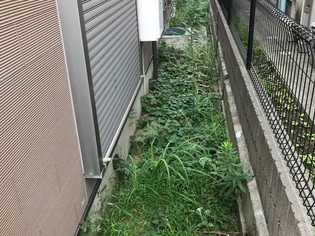 若さとやる気！元気に草むしり♪クレジットカード対応☆神奈川県♪サービスの画像