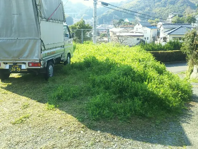 【草刈・急行 】お庭から大きな空地まで　斜面・会社・工場　対応可能サービスの画像