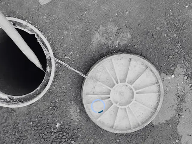 徹底洗浄☆大手経験スタッフ☆赤ちゃん・ペットに安全な洗剤使用☆彡サービスの画像