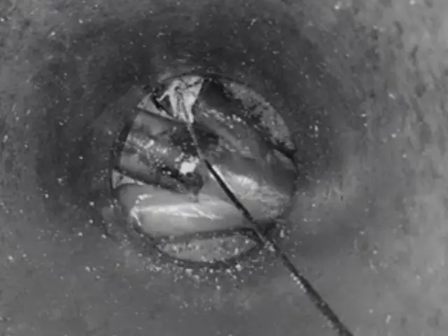 徹底洗浄☆大手経験スタッフ☆赤ちゃん・ペットに安全な洗剤使用☆彡サービスの画像