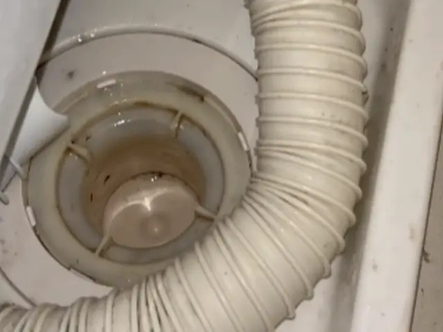 徹底洗浄☆大手経験スタッフ☆赤ちゃん・ペットに安全な洗剤使用☆彡サービスの画像