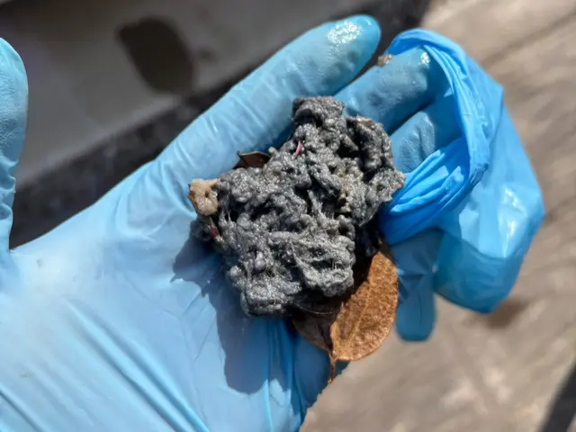 徹底洗浄☆大手経験スタッフ☆赤ちゃん・ペットに安全な洗剤使用☆彡サービスの画像