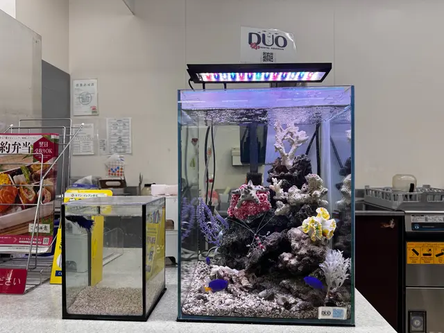 水槽レンタル業者ですので、企業様、店舗様、個人宅まで幅広く対応可能です。サービスの画像