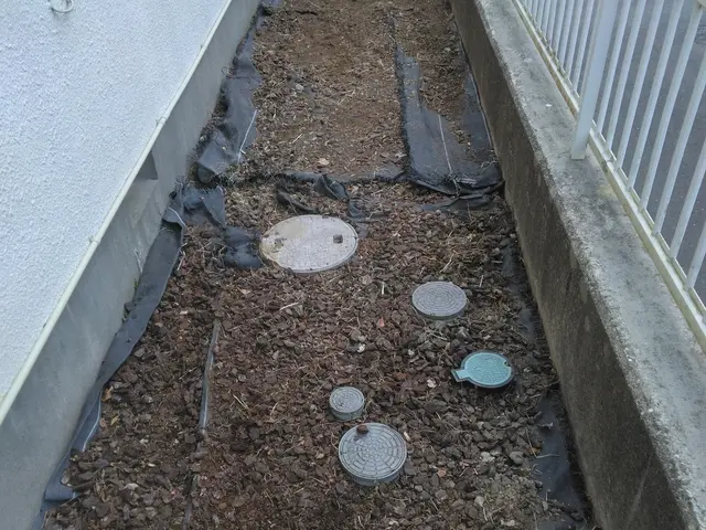 【草刈り】作業外注なし！サービスの画像