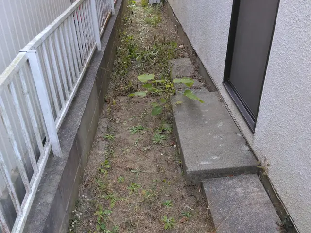 【草刈り】作業外注なし！サービスの画像