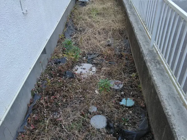 【草刈り】作業外注なし！サービスの画像