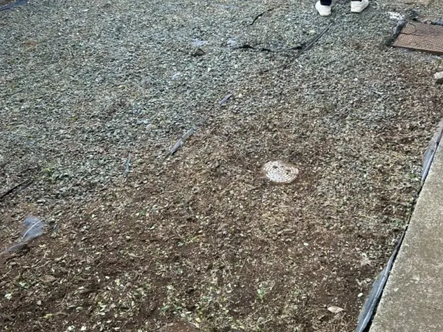 「心をこめて、一本一本。」 手作業だからこそできる、丁寧な草むしり。サービスの画像