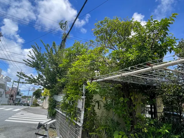 草刈り、伸び切ってる木伐採サービスの画像