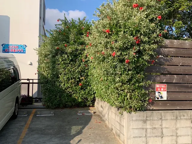 草刈り、伸び切ってる木伐採サービスの画像