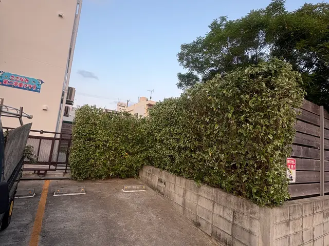 草刈り、伸び切ってる木伐採サービスの画像