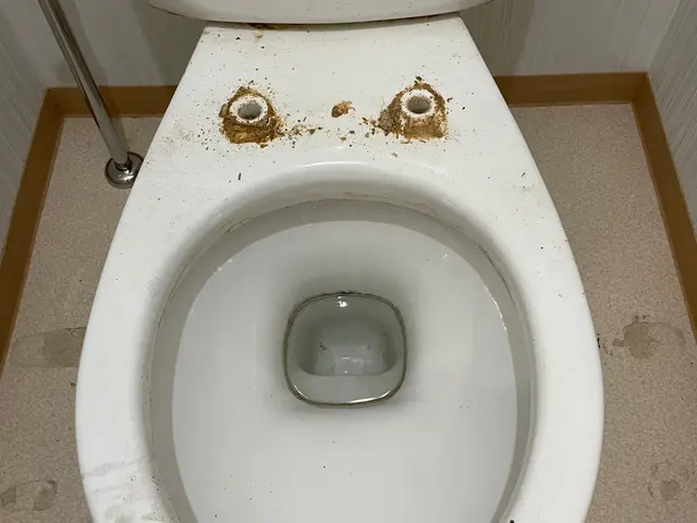 【親切・丁寧】損害保険加入済みで安心◎徹底的にキレイにします！サービスの画像